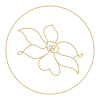 Schönes_Ausseen_Logo_gold_Blume